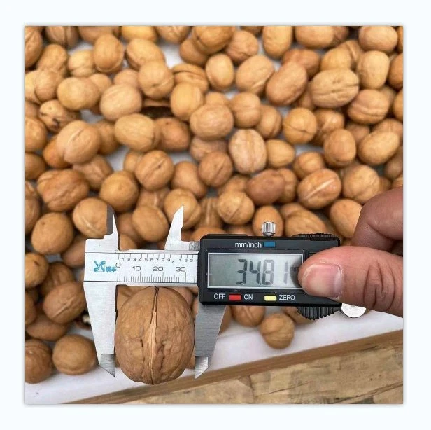 Prix bon marché naturel coquille mince meilleur séché les cerneaux de noix