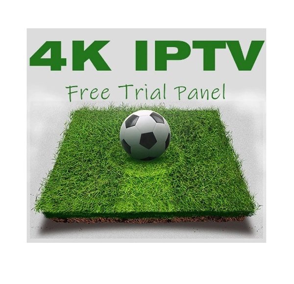 Free Test World IPTV Subscription 12month Trex IPTV Panel M3u List with Xxx