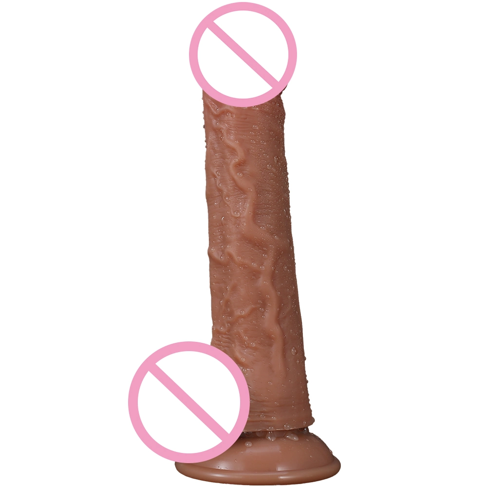 16,5 cm 6 polegada de amostra grátis Dildo realista de Silicone