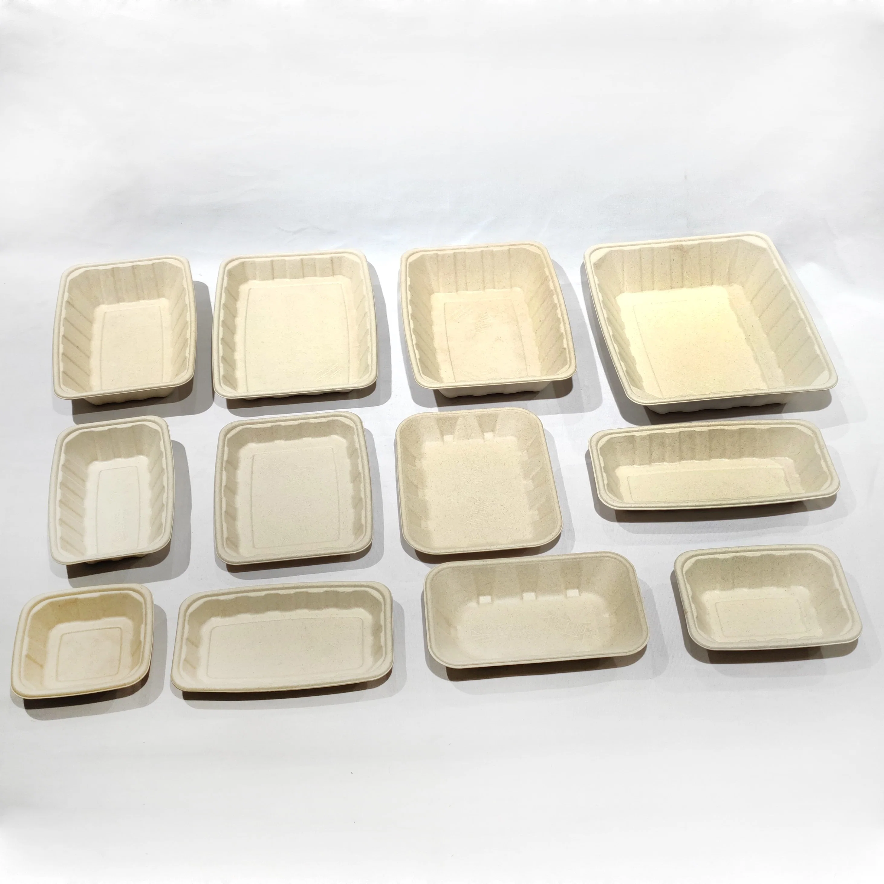 Wholesale/Supplier Custom Biodegradable Supermarket Disposable Meat Tray Bagasse Frozen Food Meat Packaging Tray