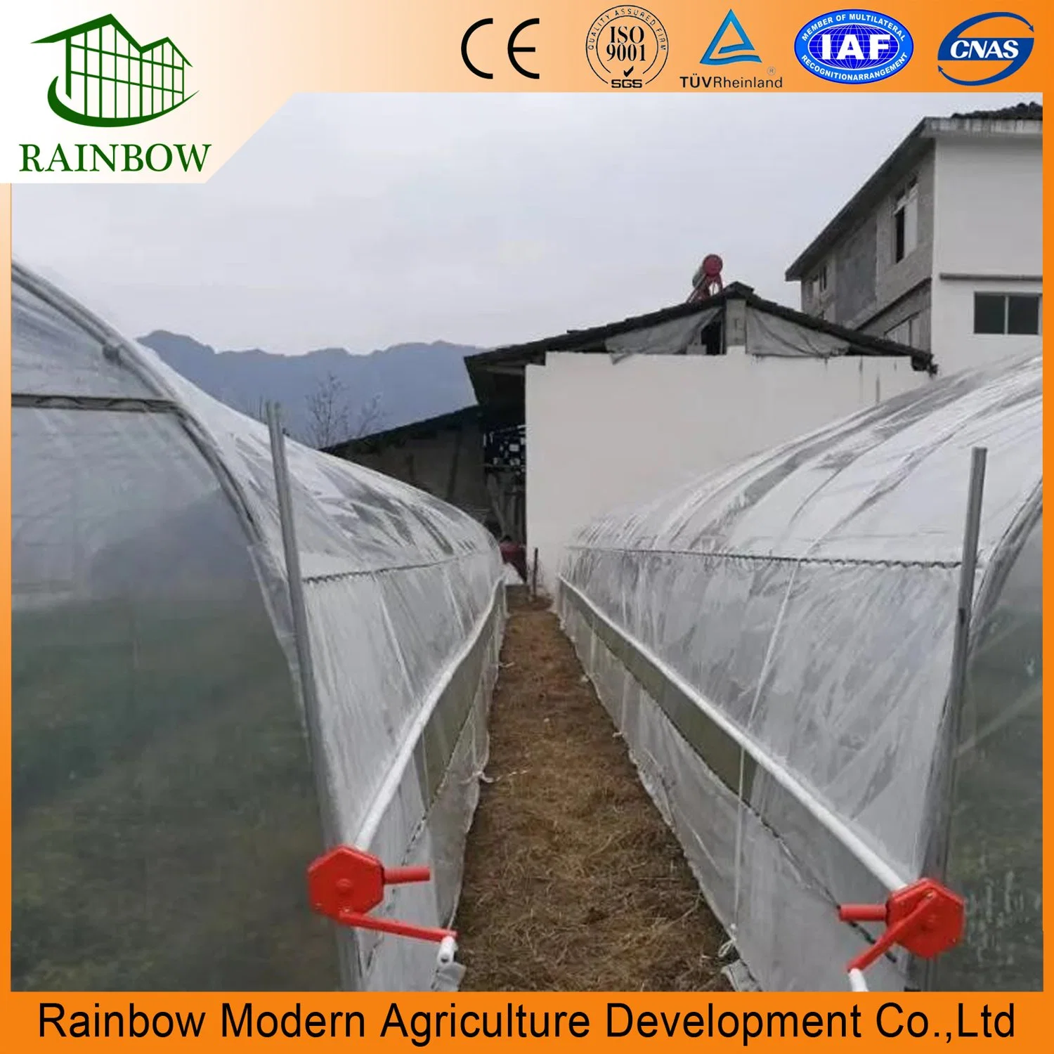 Agricultural Plastic Single-Span Arch Type Film Greenhouse