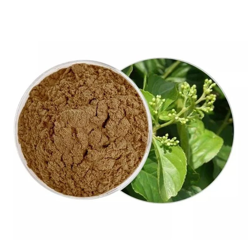 Traditional Chinese Medicine Tripterygium Wilfordii Extract Powder