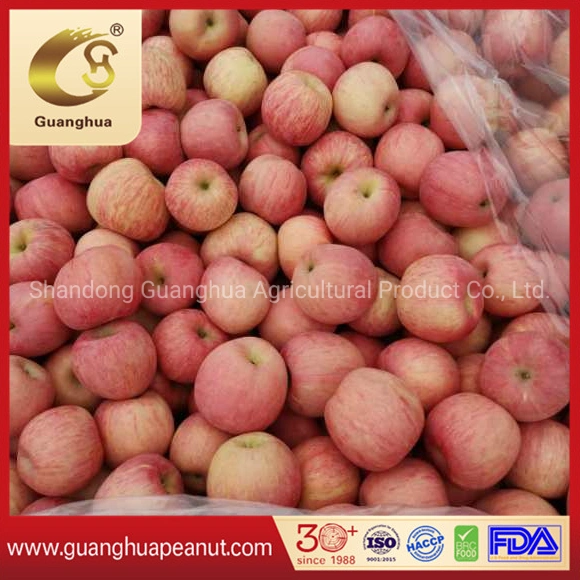 Wholesale/Supplier alta concentración de azúcar crujiente de manzana Fuji rojo de Shandong