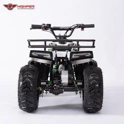 New Mini Electric Quad ATV for Kids 750W /48V