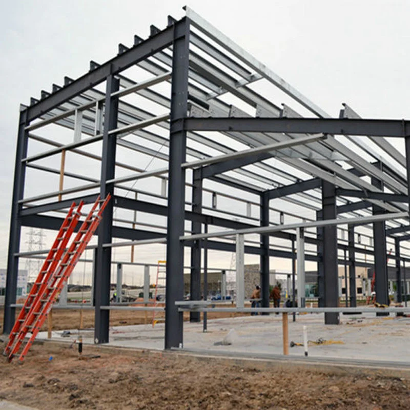 Steel Frame Structure Building Cold Storage Warehouse Metal Construction
