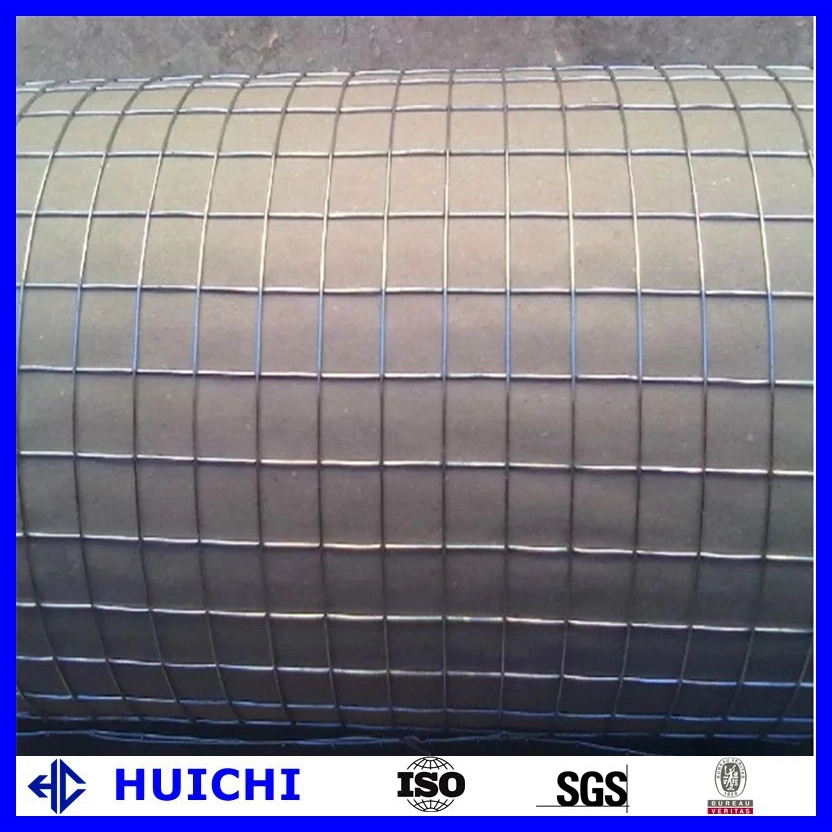 China Cost PVC Green Dutch Wire Mesh for Chicken Coop