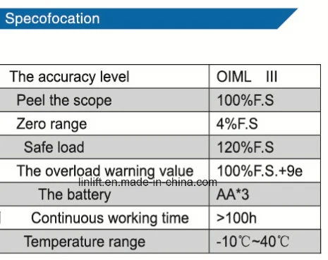 100-1000kgs Portable Electronic Crane Scale (OCS-QB)