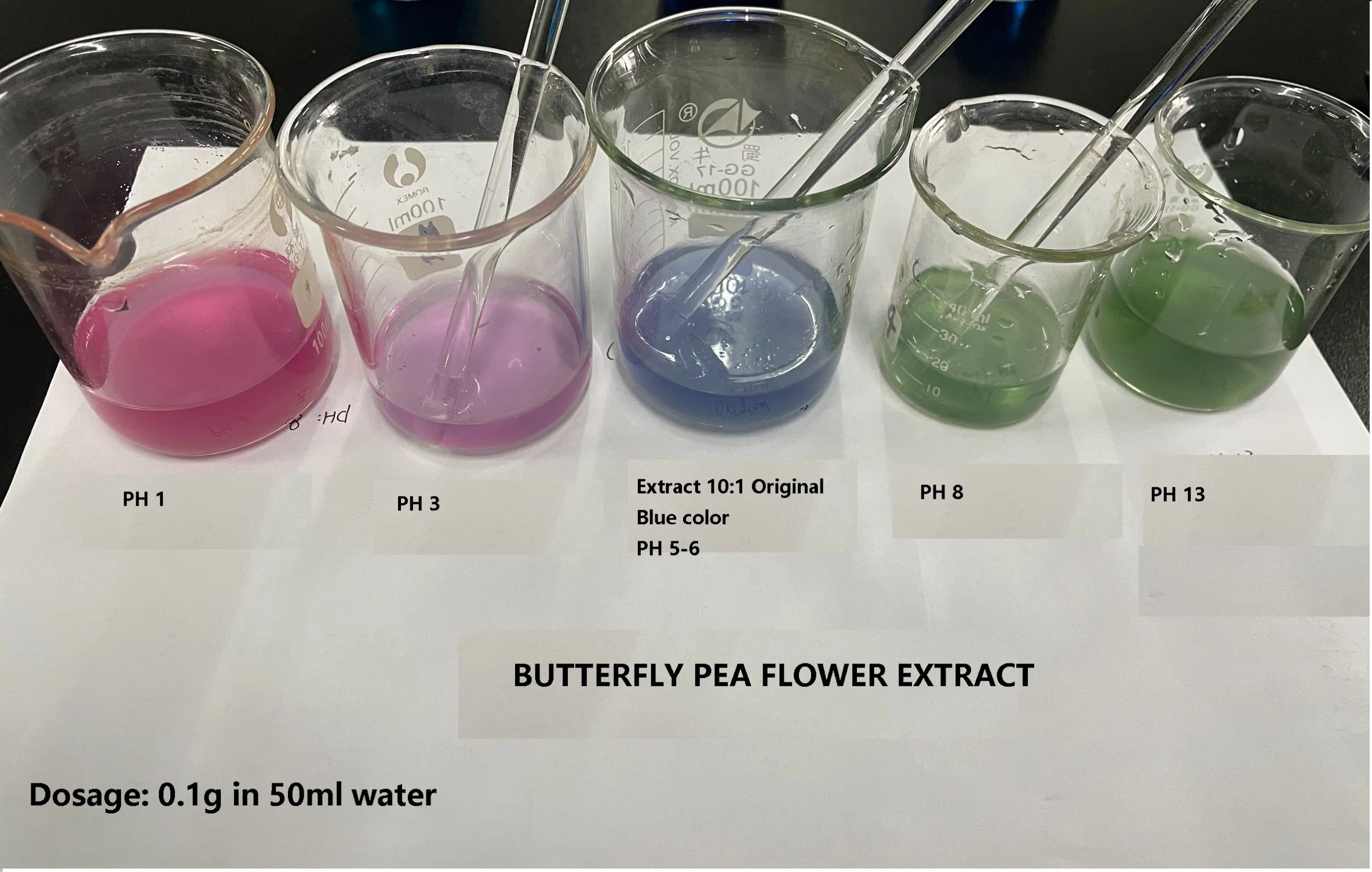 China fabricante Natural alimentos cores Azul Indigo Clitoria Ternatea L Extrato de flor de ervilha de borboleta