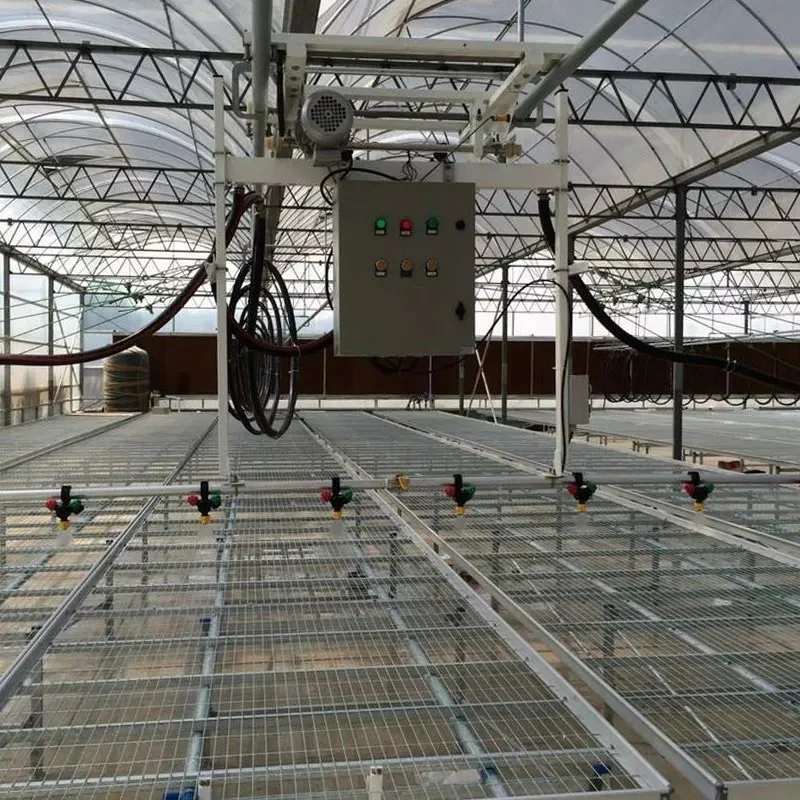 ABS Commercial Grow Tent Aeroponics System Hydroponics Farm Facilities Plastic Greenhouse Equipment