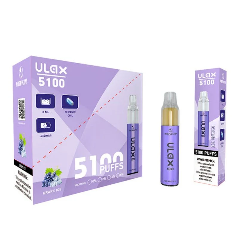 Precio de fábrica Randm Ulax 5100 recargable 5100 Puffs VAPE desechable Vaporizador de plumas