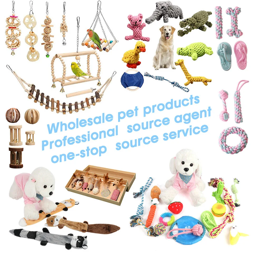 بيع بالجملة مستلزمات الحيوانات الأليفة Yiwu Sourcing Agent Yiwu Market All Pet المنتجات