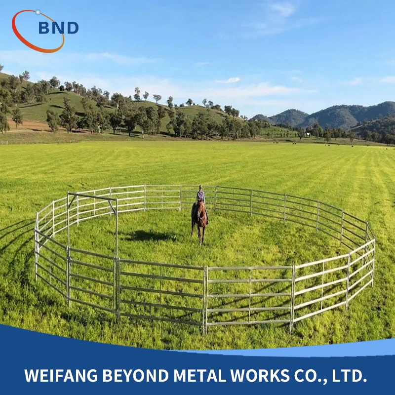 Galvanized Metal Welded Livestock Fencing Panels