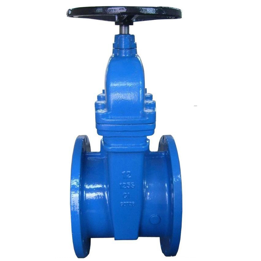 DIN/API/BS/JIS Rubber Soft Seat Water Supply Wcb 304 Ggg40 Gg25 Industril Flange Cast Iron Gate Valve