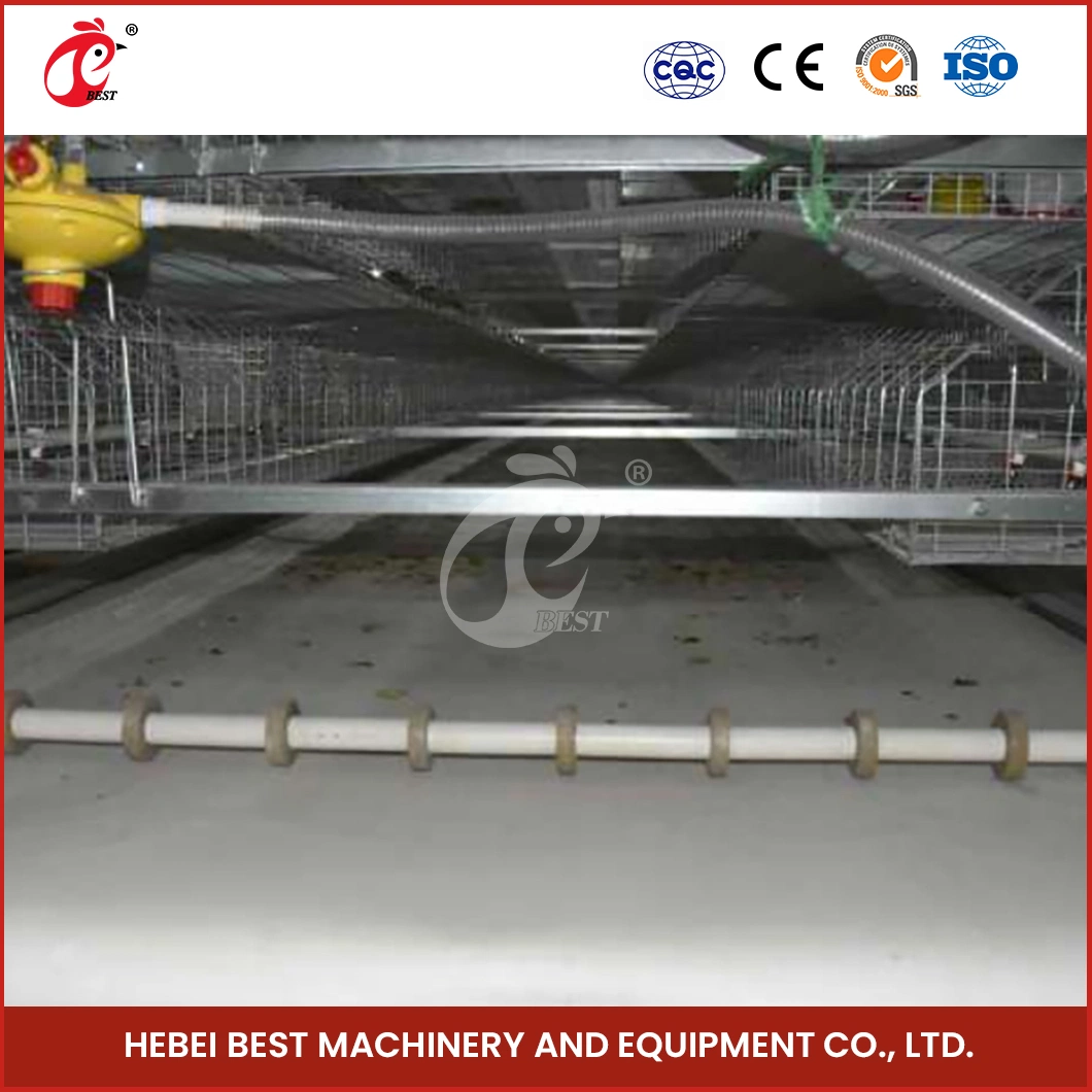 Bestchickencage a Type Baby Chicken Cage Breeder Cage China Small Indoor Baby Hen Coop Supplier Custom Applicable Poultry Field Brooder Cage