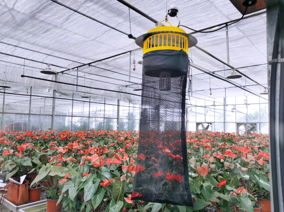 Insecticidal Lamp Agriculture, Killer Lamp with LED