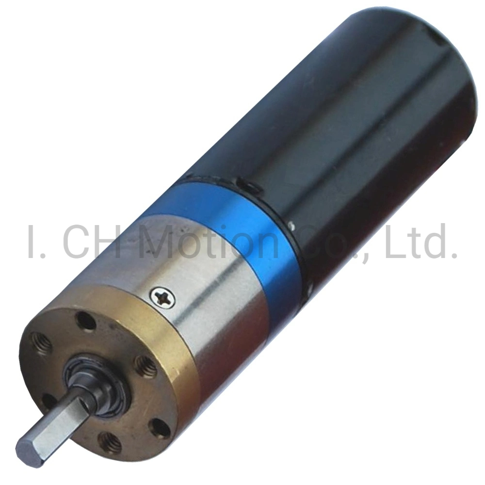 22mm 12V 24V High Torque DC Planetary Gear Motor for Massage Tools