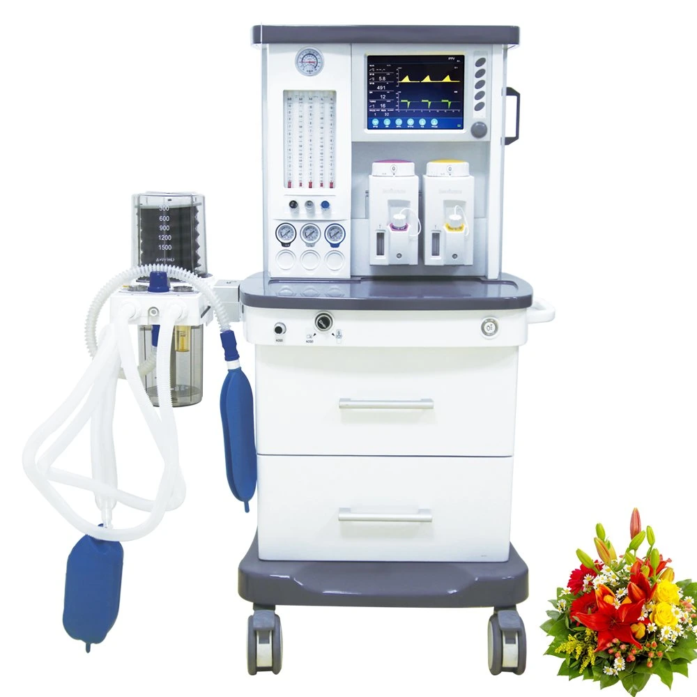 2022 Anesthesia Equipment Anasthesia Machine System with Ventilator