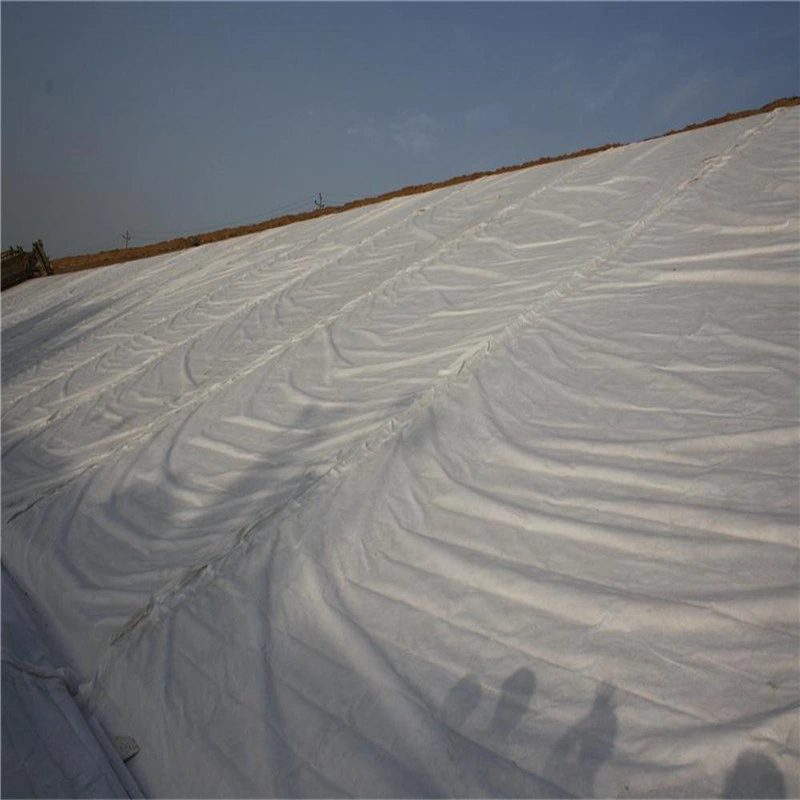 Slope Protection Fabric Non Woven Needle Punched Geotextile