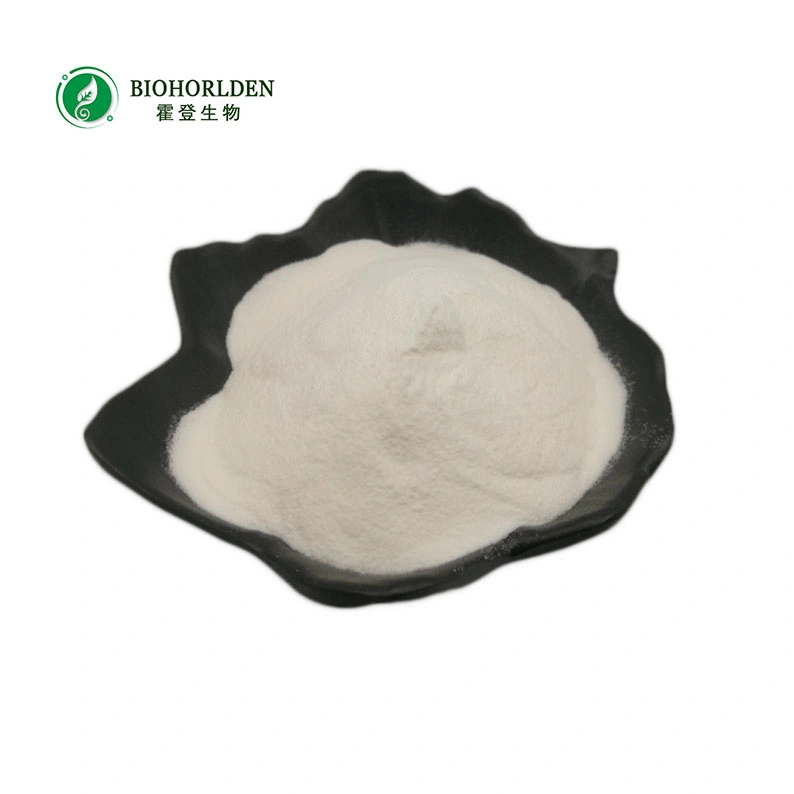 Natural Apple Extract Raw Powder Phloretin Health Supplement 98% Phloretin