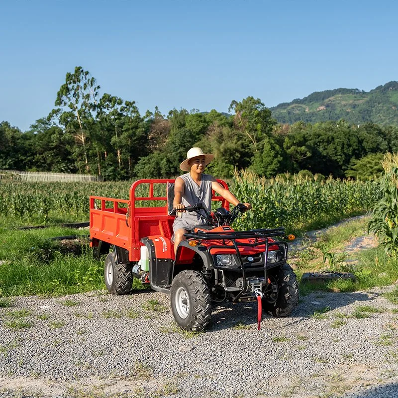 Max. Turning Radius 3500mm Four Wheeler 250cc 300cc 4X2 Aerobs ATV