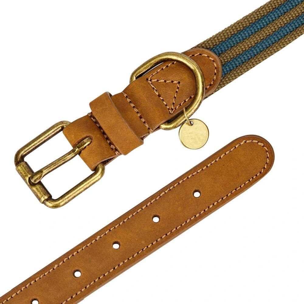 Polyester Fabric and Soft Genuine Leather Webbing Dog Pet Collar