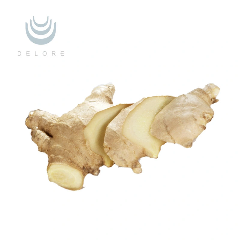 High quality/High cost performance  100% Natural Ginger Extract Ginger Root Extract Ginger Extract Powder Ginger Extract Gingerols