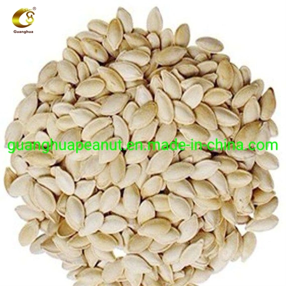 New Crop and Best Quality Shine Skin Pumpkin Seeds