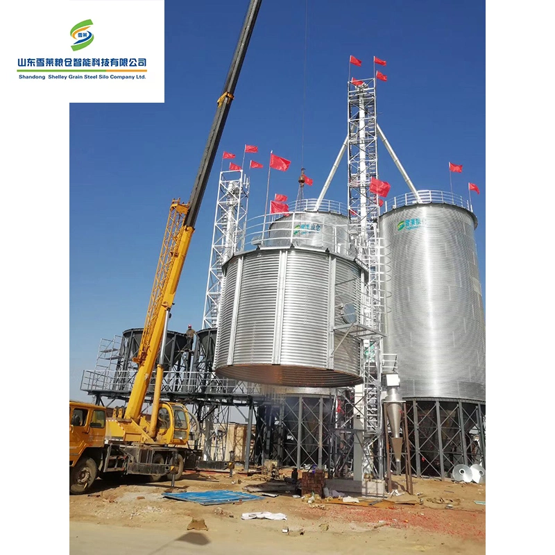 100t Poultry Feed Silo Farm Grain Corn Wheat Storage Steel Silos for Sale