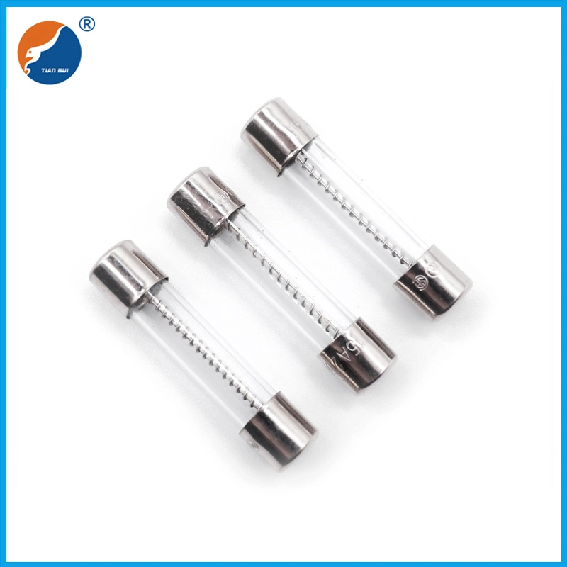 6X30mm Time Lag Glass Cartridge Fuses