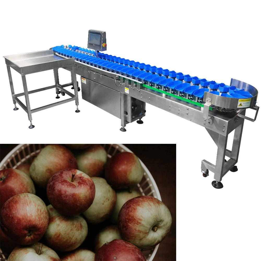 Ty-Jyh103p85-01-12 Industrial Vegetable Fruit Weight Sorting Grading Machine