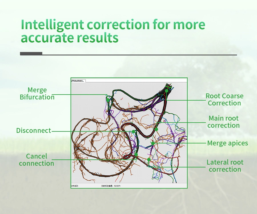 Measurement and Analysis of Plant Root Phenotype