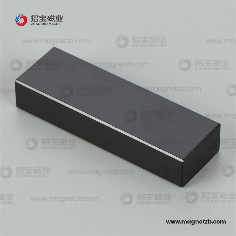 Neodymium Special Magnet Strong NdFeB with Epoxy Coating Neo Manufacturer for Motor