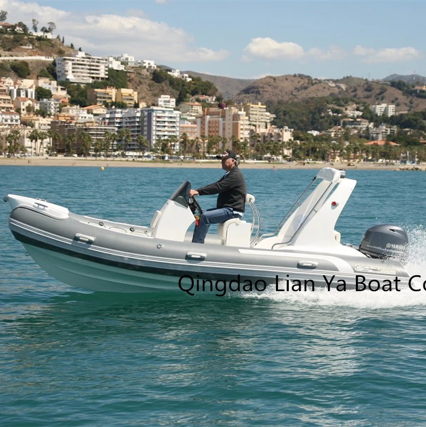 Liya 10 personas botes inflables rígido Rib Barco