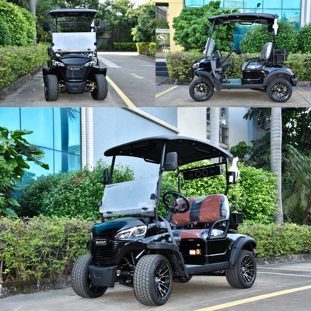 Electric Hunting Golf Car Supplier with CE Co