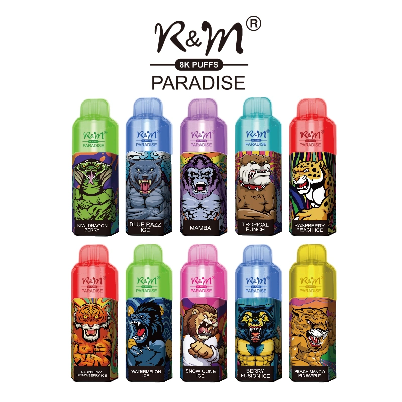 Original Mesh Coil RGB Light 8K Puffs R&M Paradise Wholesale/Supplier Vape Disposable/Chargeable Electronic Cigarette