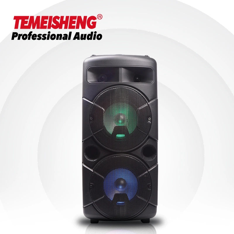 Temeisheng Tms-609 Double 6,5 Zoll Professional Party Box Sound System Lautsprecher Box DJ Verstärker Tragbarer Bluetooth-Lautsprecher