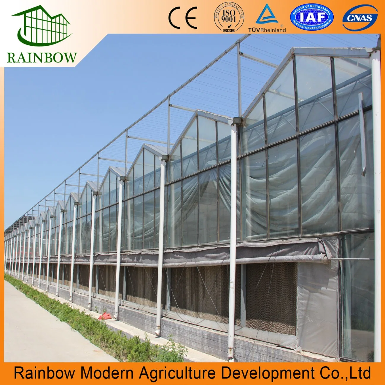 Agriculture Arched Roof Greenhouse Factory Supply