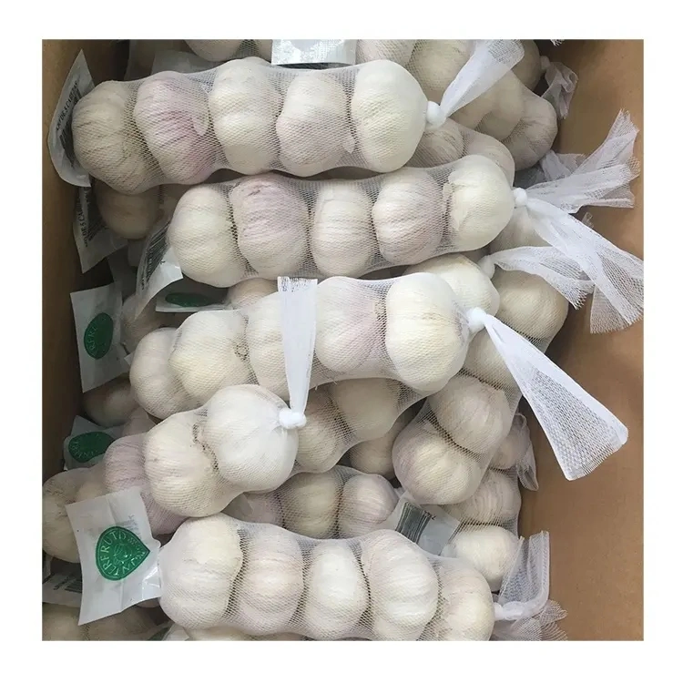 Nueva mayorista Jiangsu buen Precio de exportación solo puro pelado fresco Ajo deshidratado normal/Súper Blanco