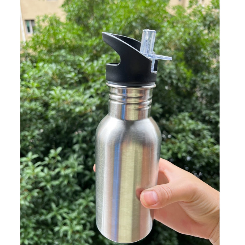 Wholesale 17oz Stainless Steel Sports Water Bottle, Non-Insulated, Single-Skinned Eco Bottle Outdoor Travel Bottle with Flip Lids