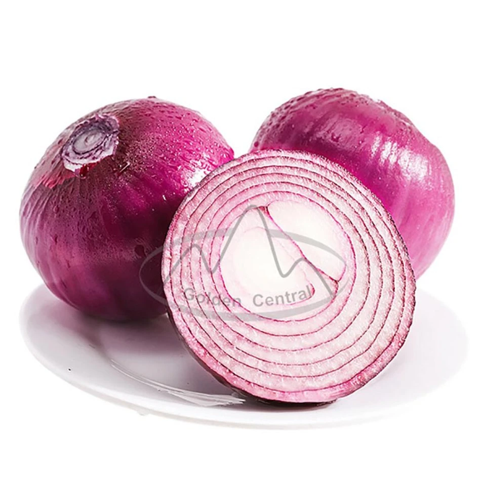 Chinês Natural vegetal Red Onion Atacado ao mundo