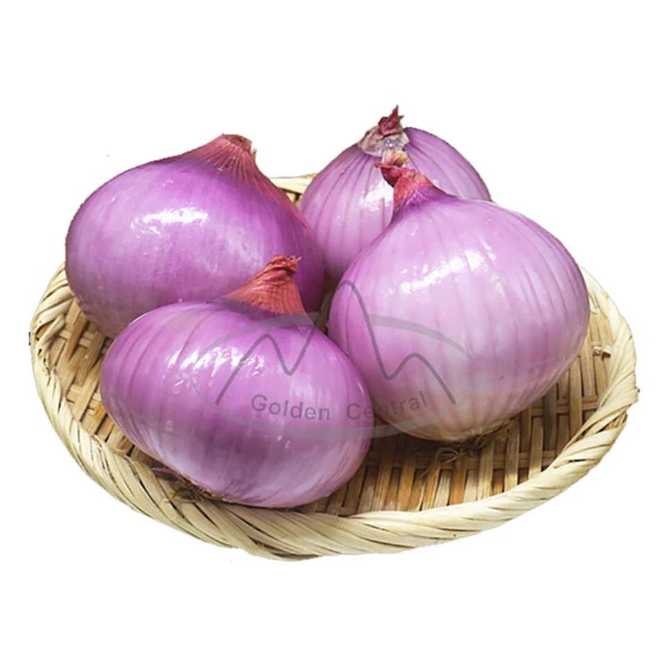 Chinês Natural vegetal Red Onion Atacado ao mundo