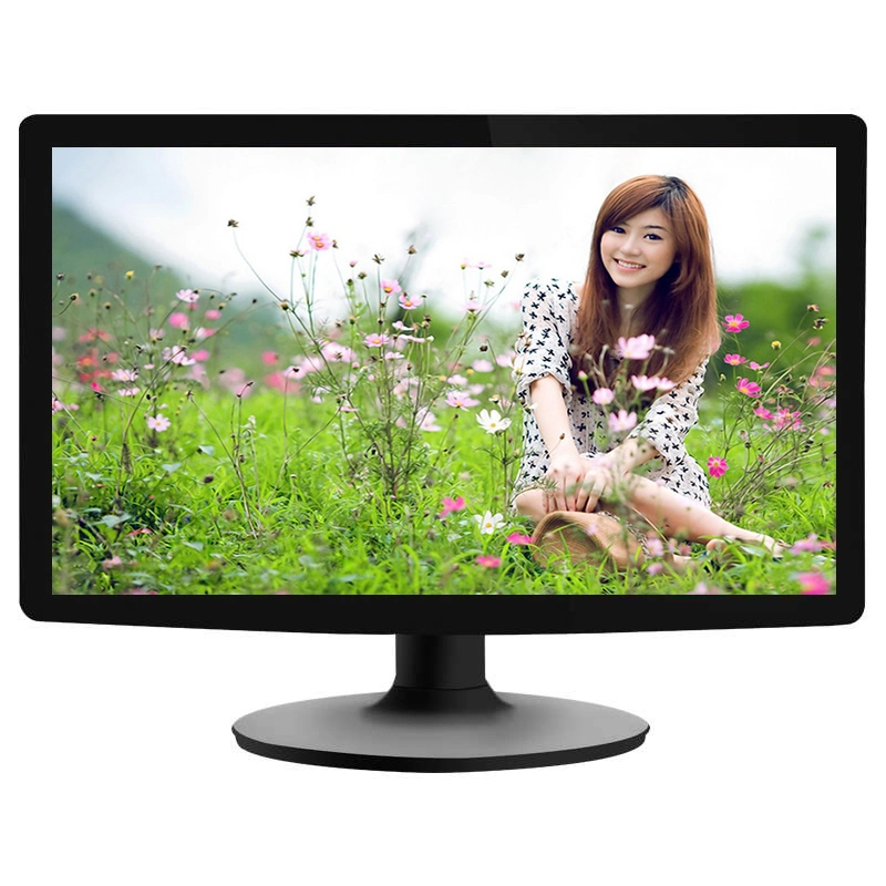 Wall Mount / Desktop 19" Inch Wide Screen LED Computer PC TFT LCD TV Display Monitor