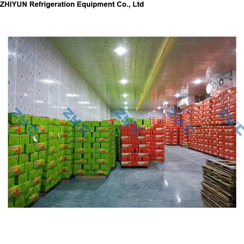 Fresh Mushroom Carrot Onion Green Peas Potato Garlic Blast Chiller Cold Room Refrigeration Warehouse