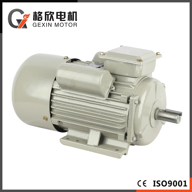 Condensadores monofásicos serie YC/YCL Motor asíncrono 220V eléctrico de doble valor Motor