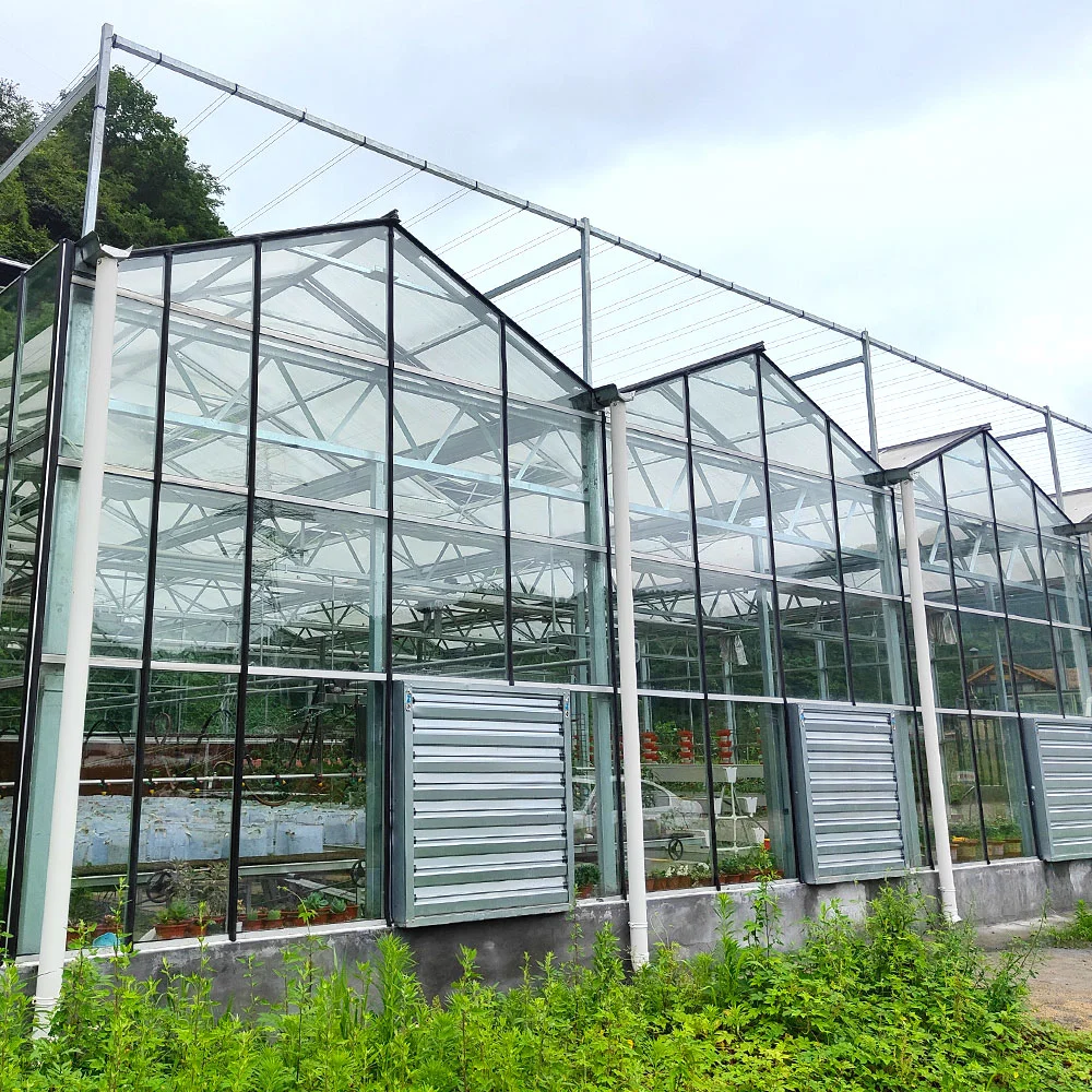 Agriculture Multi Span-Glass Film Greenhouse for Vegetable Flower with Hydroponics/Cooling/Ventilation System Fan