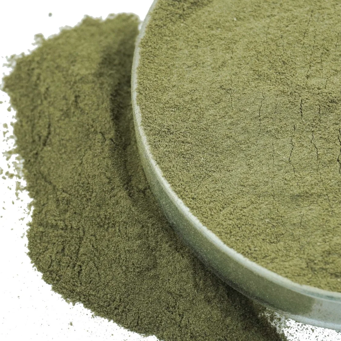 Hot Selling Feed Grade Seaweed Extract Kelp Powder