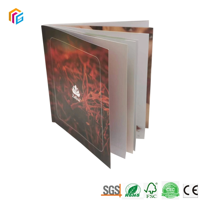 Personalizada profesional A4 A5 encuadernado Softcover Foto Offset papel de seda Color cartón Folleto de la impresión de revistas