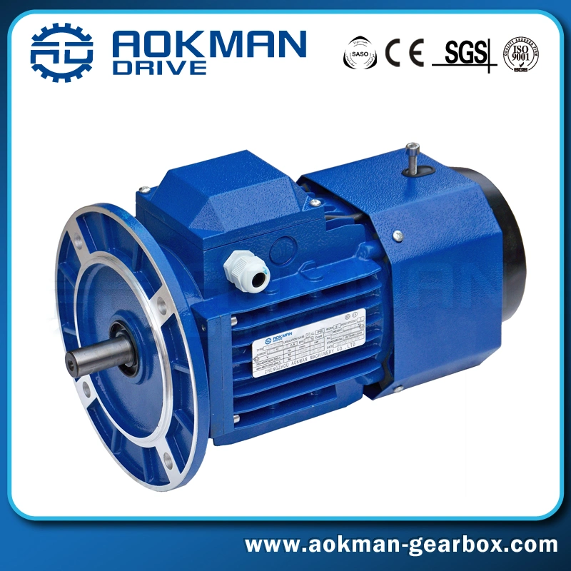 Variable Speed Low Rpm Gear Electric Motor with Brake