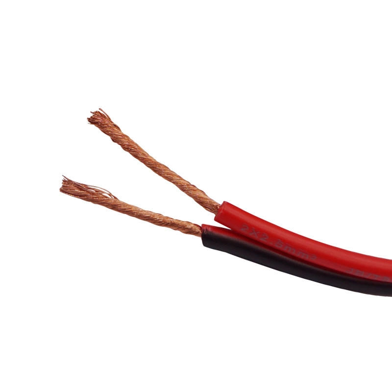 8 AWG 12AWG 14AWG Haut-parleur Plat Noir et Rouge Fil de Communication Fil Électrique