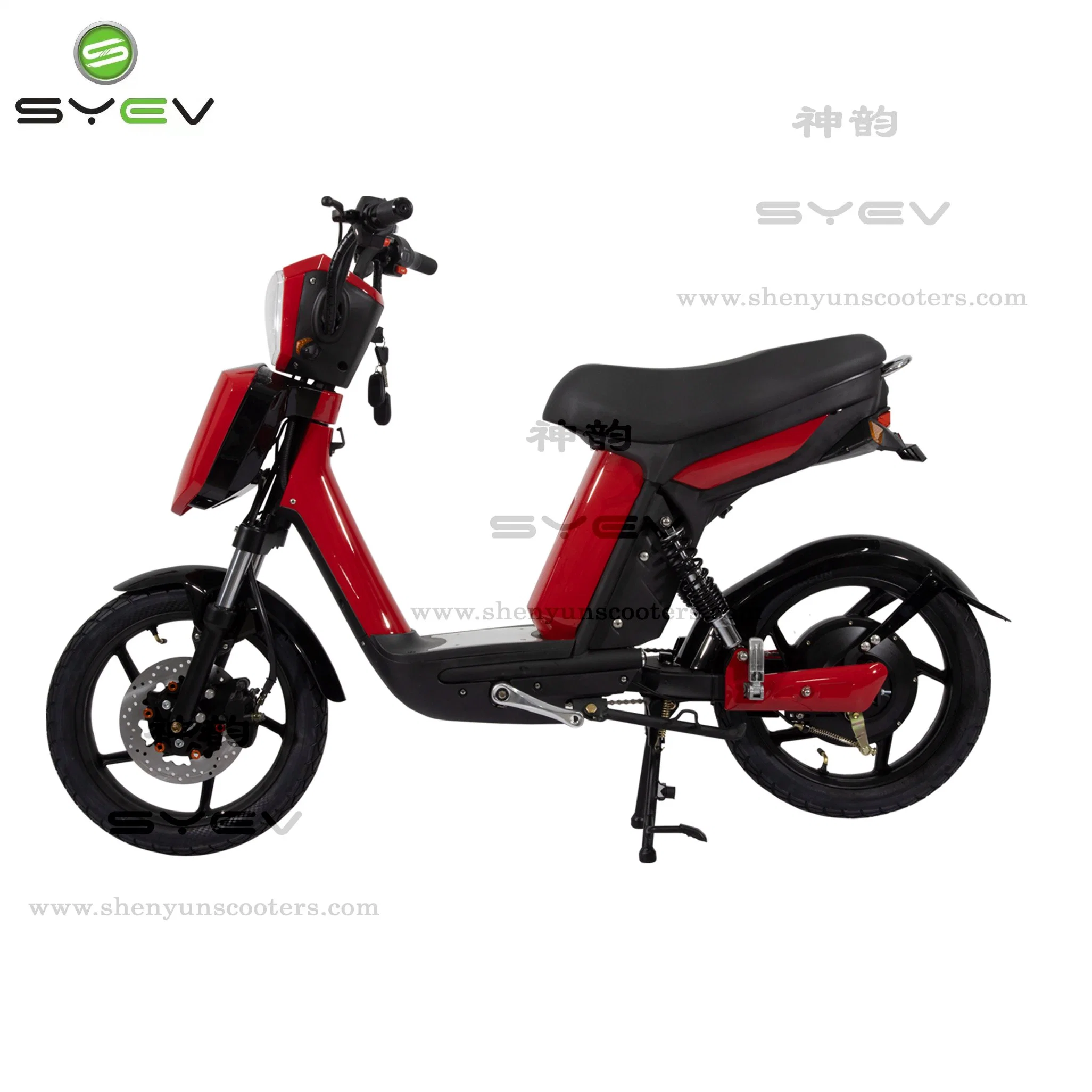 350W Powerful with CE Electric Bicycle